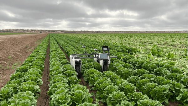 Agricultural TFT LCD screen