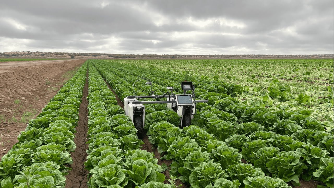 Agricultural TFT LCD screen